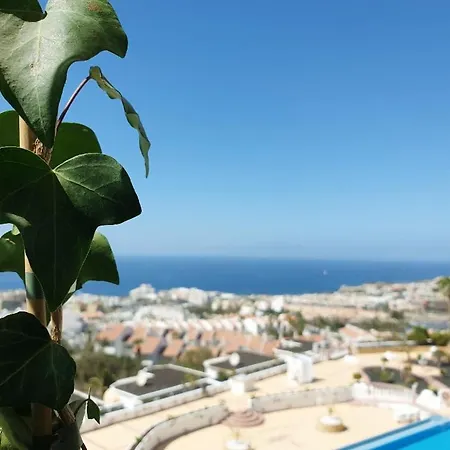 Luxus Ferienwohnung Meerblick Apartment Costa Adeje (Tenerife)
